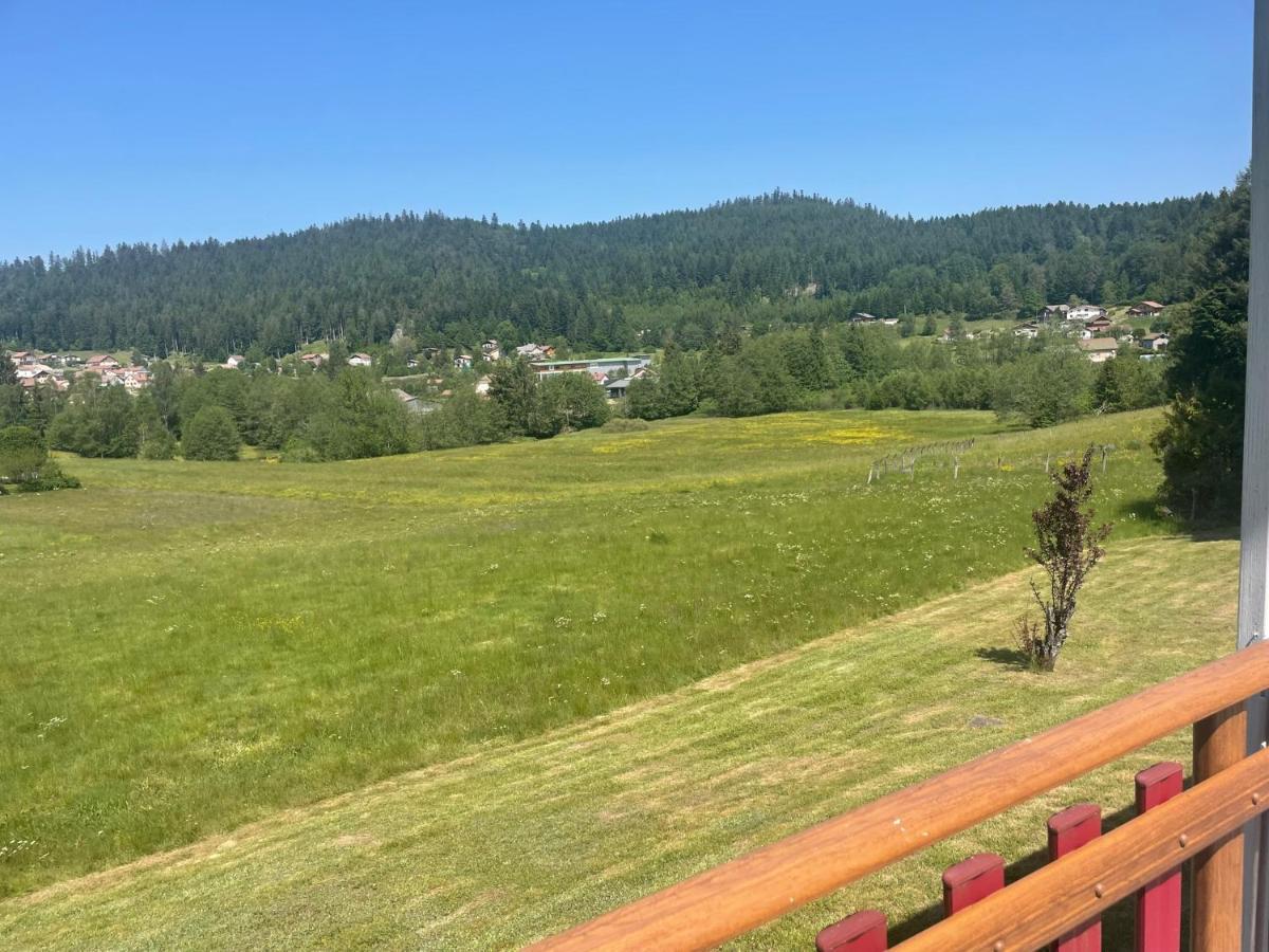 Chalet Le Cedre Bleu 10 P - 10 Min De Gerardmer Льо Толи Екстериор снимка
