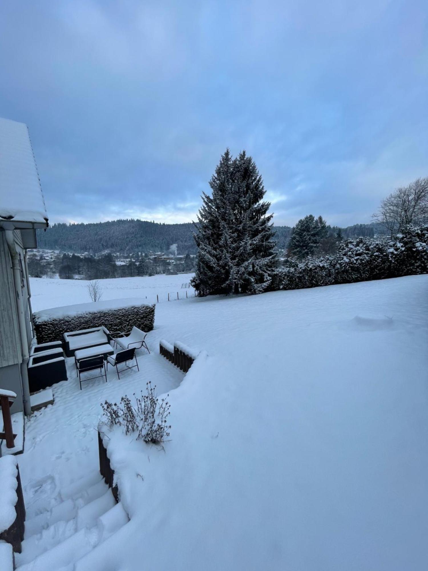 Chalet Le Cedre Bleu 10 P - 10 Min De Gerardmer Льо Толи Екстериор снимка